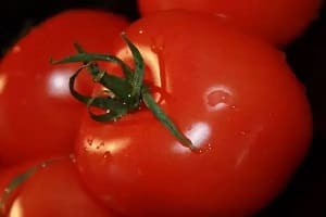 Подкормка томатов в июне после высадки для хорошего урожая