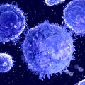 Исследователи нашли способ, который в теории должен усилить иммунотерапию