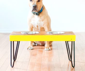 Стол для собаки