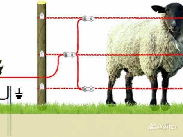 Купить Электропастух В Волгограде Для Крс Цена