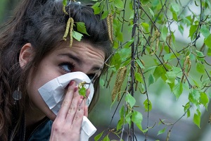 Аллергия на цветение весной. Что делать? Поможет череда!