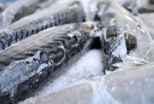 Как быстро разморозить рыбу из морозилки: 3 простых способа