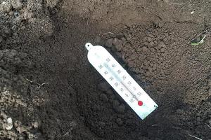 Как измерить температуру почвы обычным термометром?