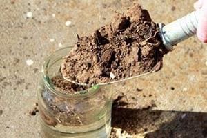 Как определить кислотность почвы на участке? Самый простой способ