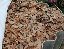Как сделать перегной из листьев или листовой компост? | Полезные советы на все случаи жизни