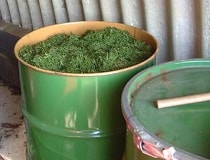Как сделать зелёное удобрение из травы с водой в бочке? | Полезные советы на все случаи жизни