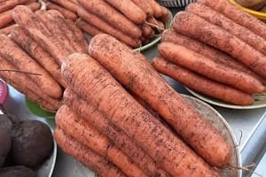 Как сохранить морковь зимой в погребе до весны: простой трюк