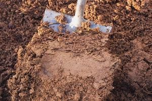 Как улучшить глинистую почву на садовом участке и на огороде?
