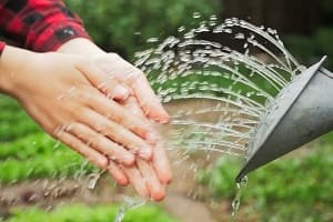 Как защитить руки при работе в огороде? 3 простых способа