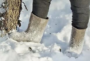 Надо ли утаптывать снег вокруг плодовых деревьев: на заметку