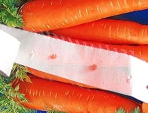 Семена моркови на туалетной бумаге. Как сделать и сажать?